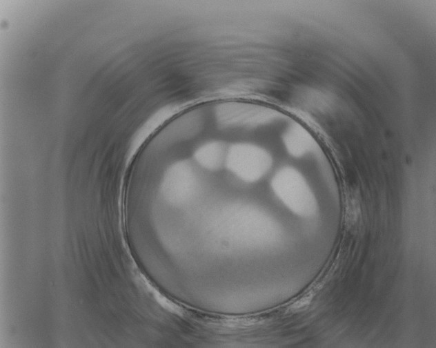 X0000066511294200603311720