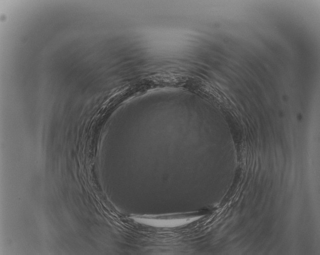 X0000066511297200603311719