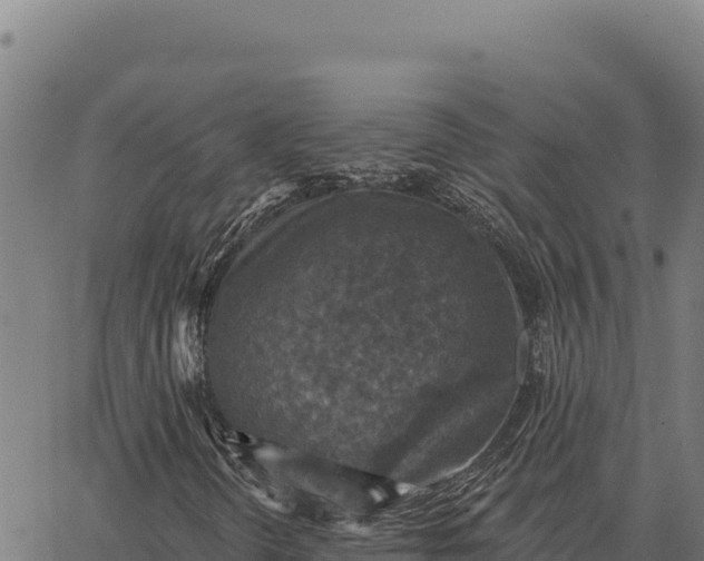 X0000066511298200603311719