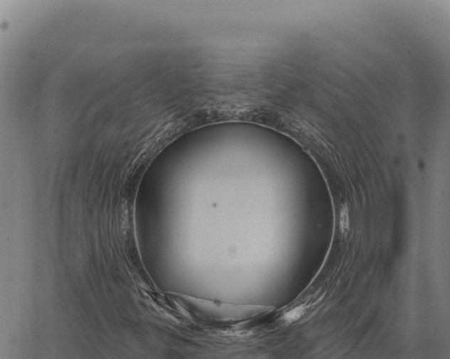 X0000066511299200603311719