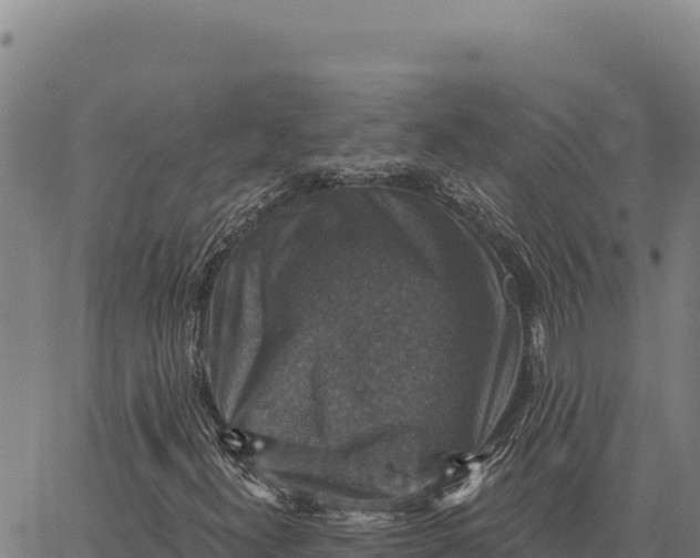 X0000066511300200603311719