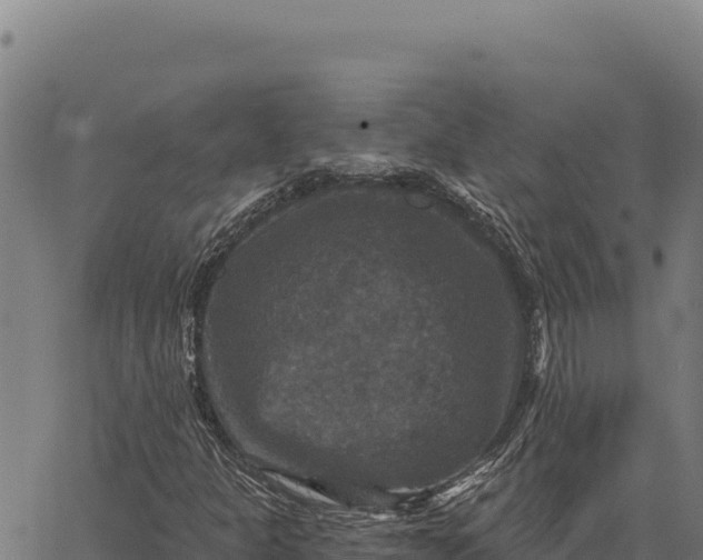 X0000066511301200603311719