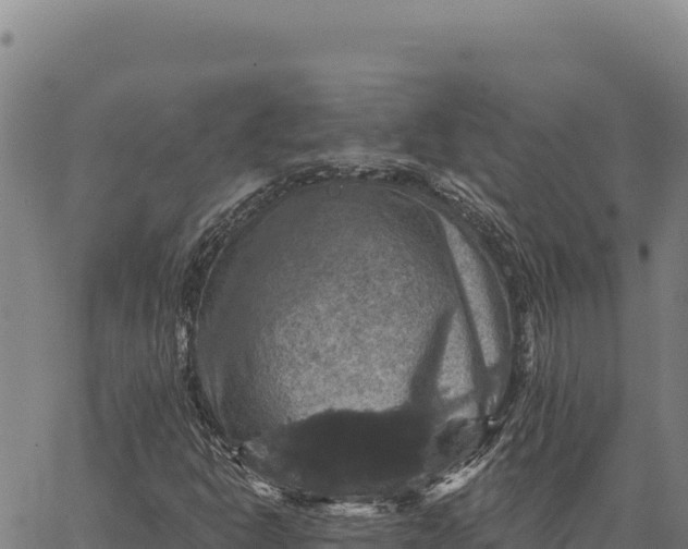 X0000066511302200603311719