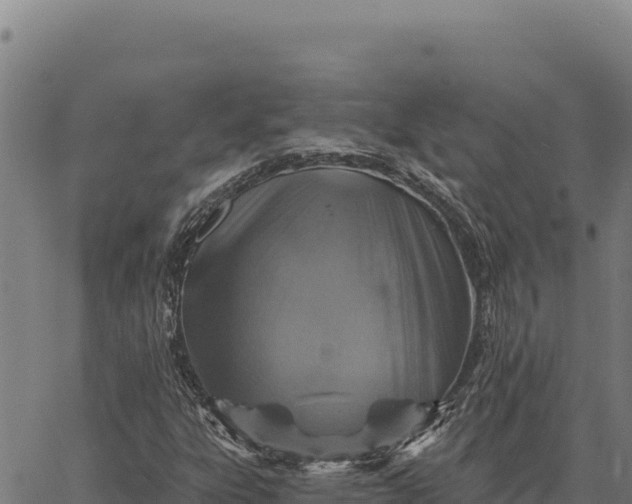 X0000066511303200603311719