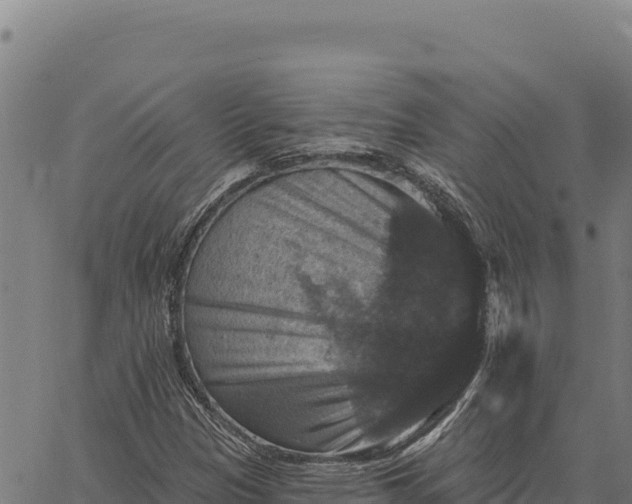 X0000066511305200603311719