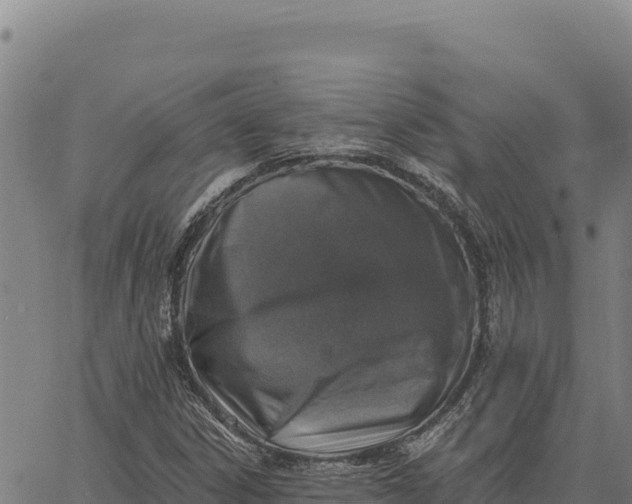 X0000066511306200603311719