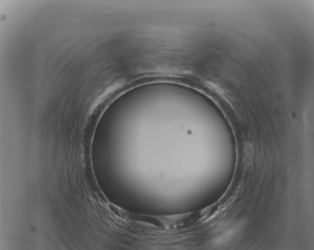 X0000066511307200603311719