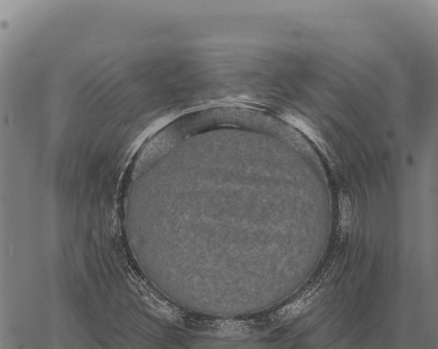 X0000066511308200603311719