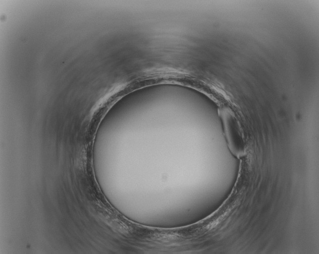 X0000066511309200603311719