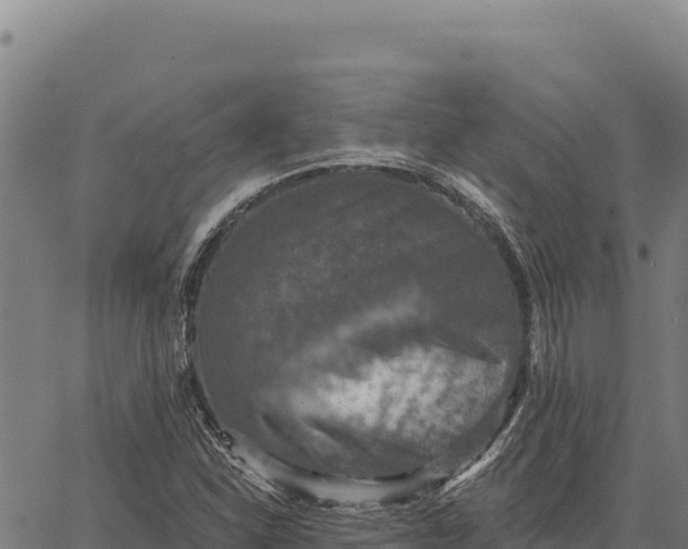 X0000066511310200603311719