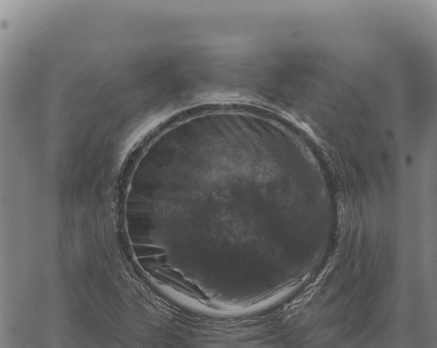 X0000066511311200603311719