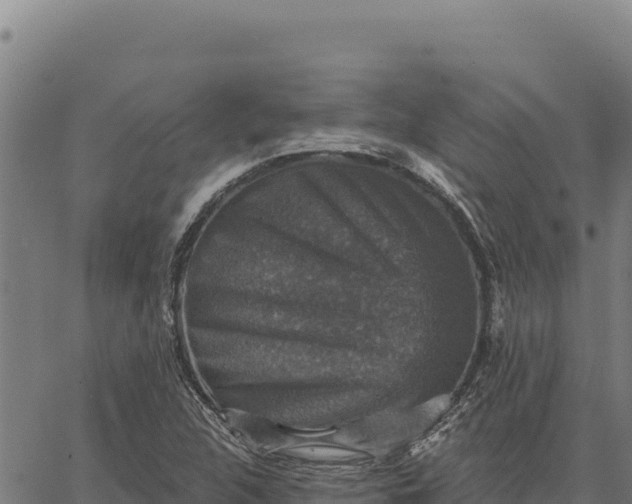 X0000066511312200603311719