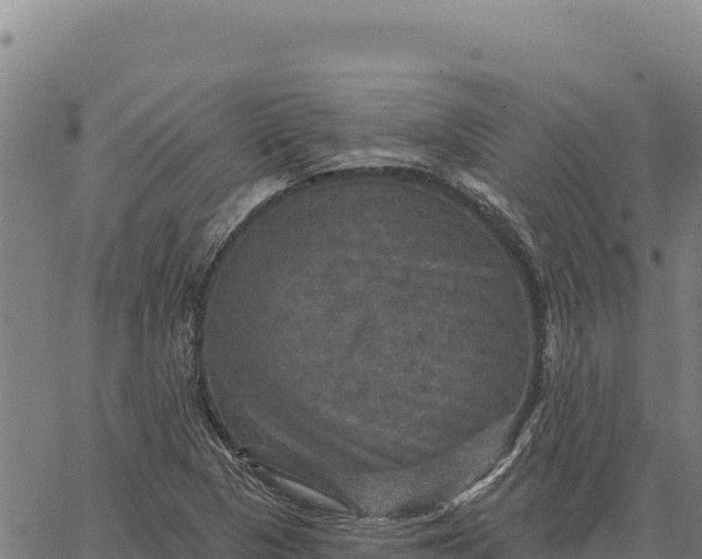 X0000066511313200603311719