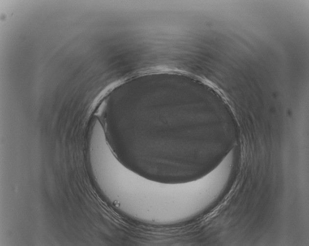 X0000066511314200603311719