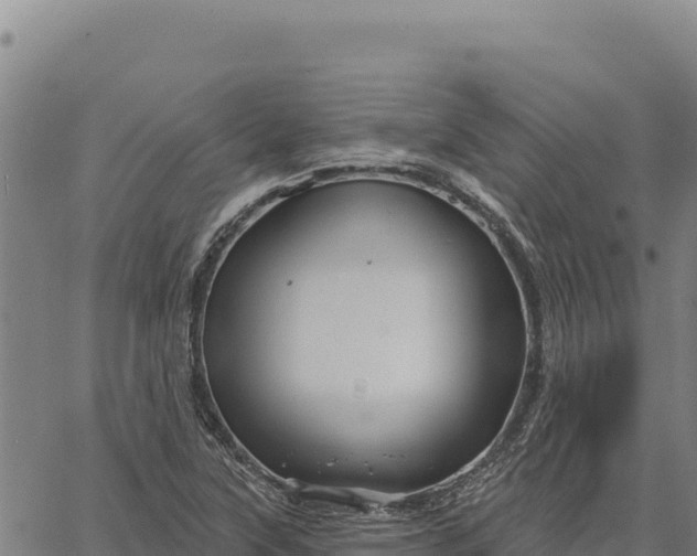 X0000066511315200603311719