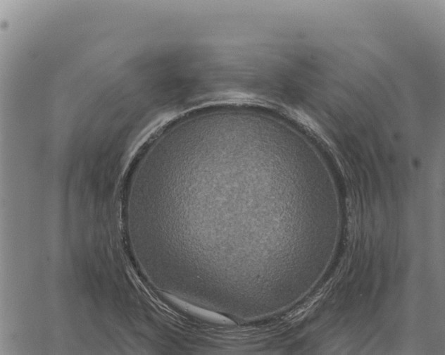 X0000066511318200603311719