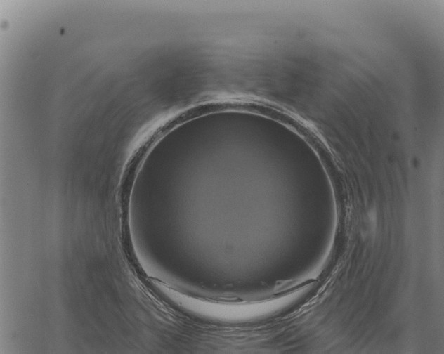 X0000066511319200603311719