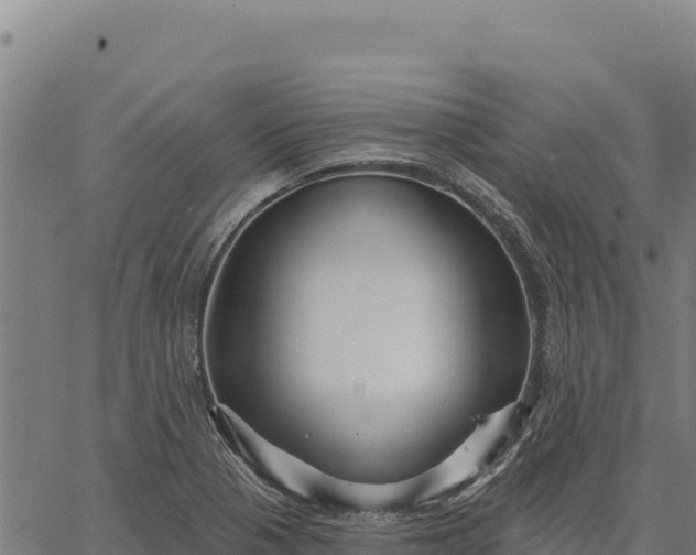 X0000066511321200603311720