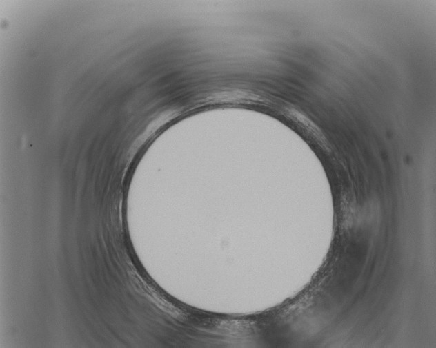 X0000066511322200603311720