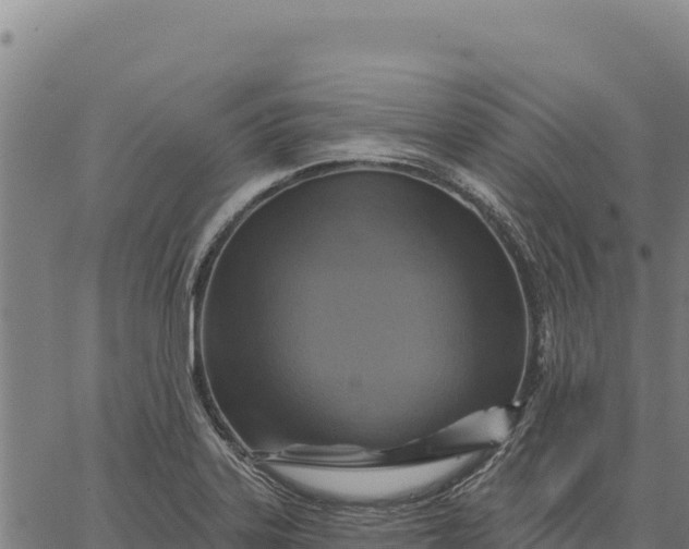 X0000066511323200603311720