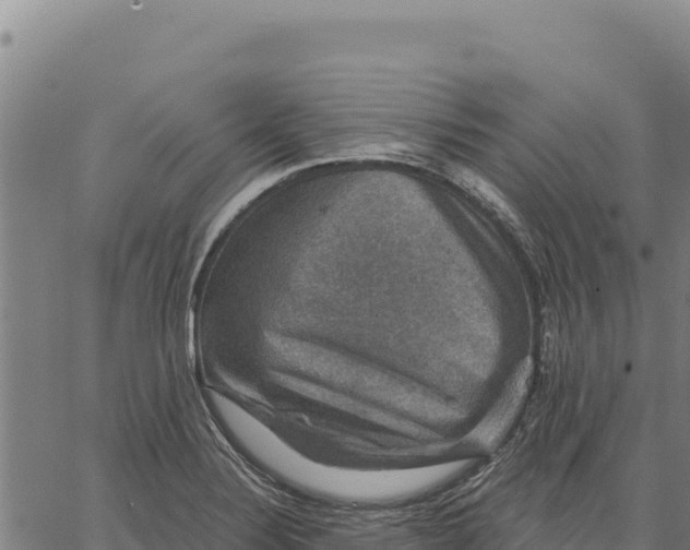 X0000066511324200603311720