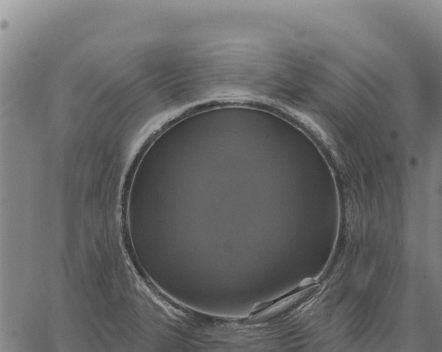 X0000066511327200603311720