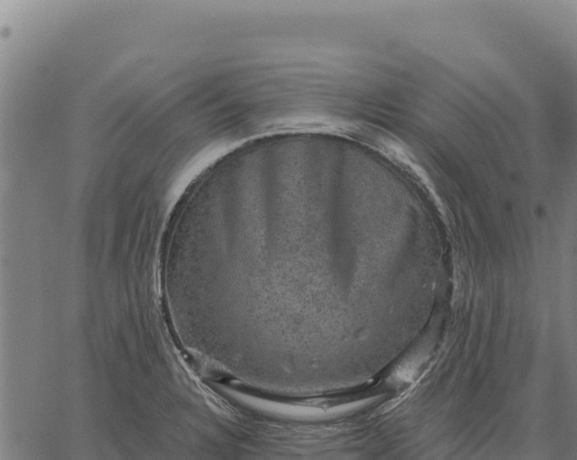 X0000066511328200603311720