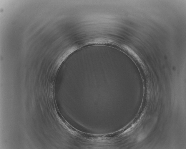 X0000066511329200603311720