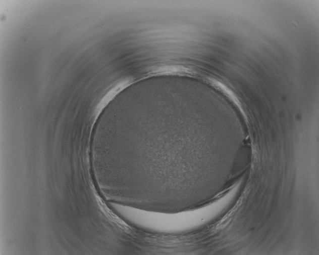 X0000066511330200603311720