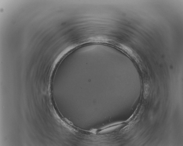 X0000066511331200603311720