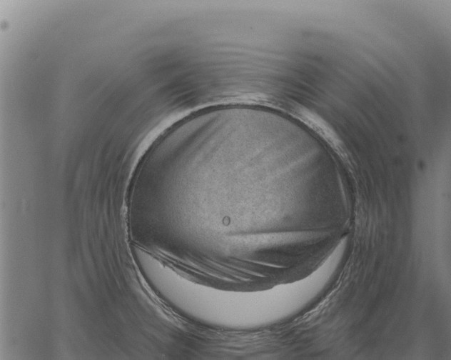 X0000066511332200603311720