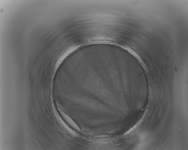 X0000066511333200603311720