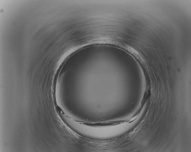 X0000066511334200603311720