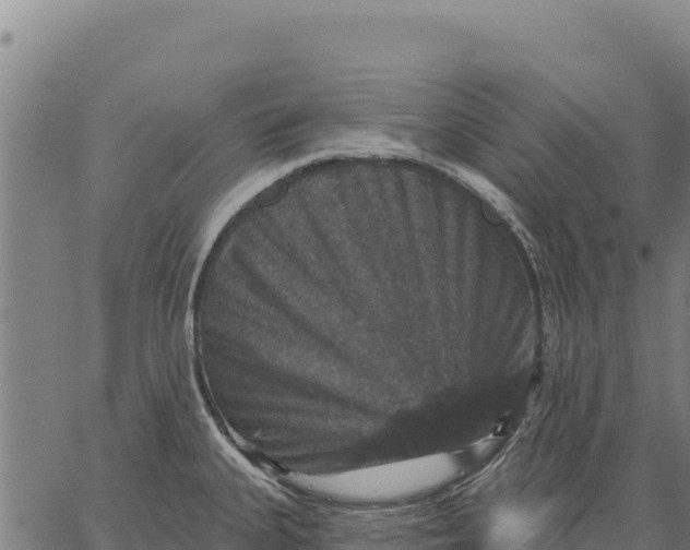 X0000066511335200603311720