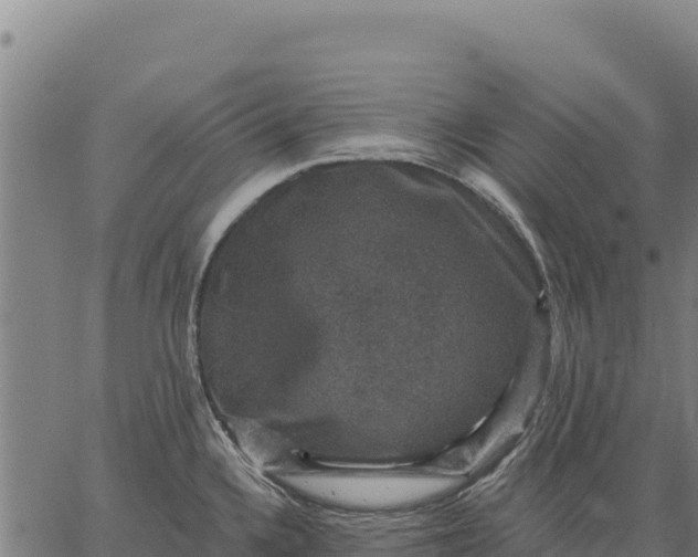 X0000066511336200603311720