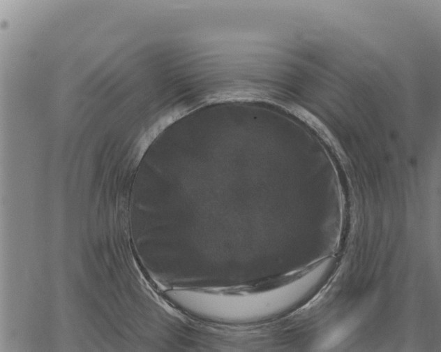 X0000066511337200603311720