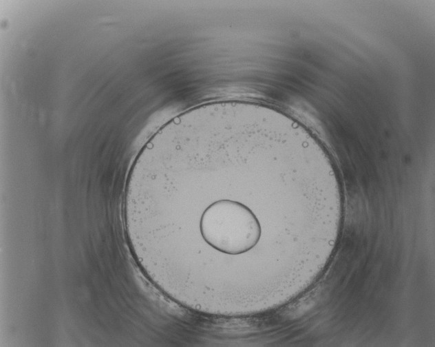 X0000066511338200603311720