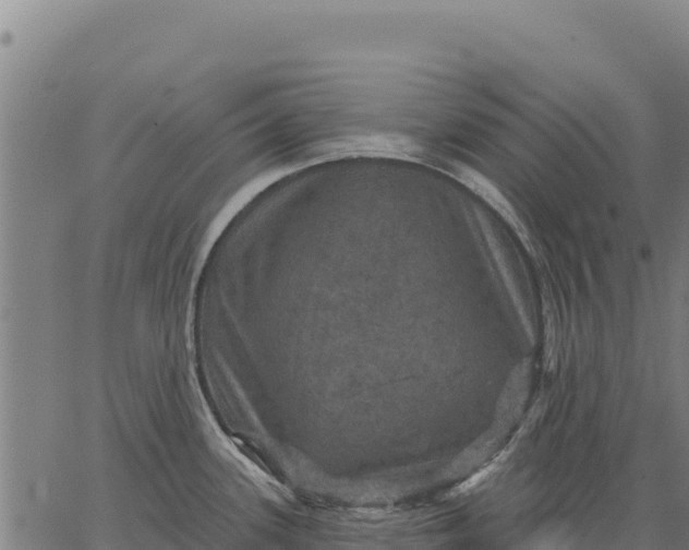 X0000066511339200603311720