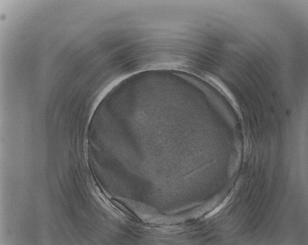 X0000066511340200603311720