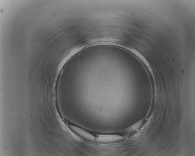 X0000066511341200603311720