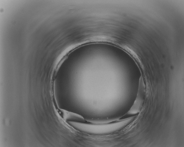 X0000066511342200603311720