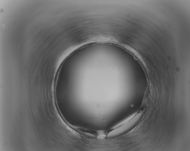 X0000066511343200603311720