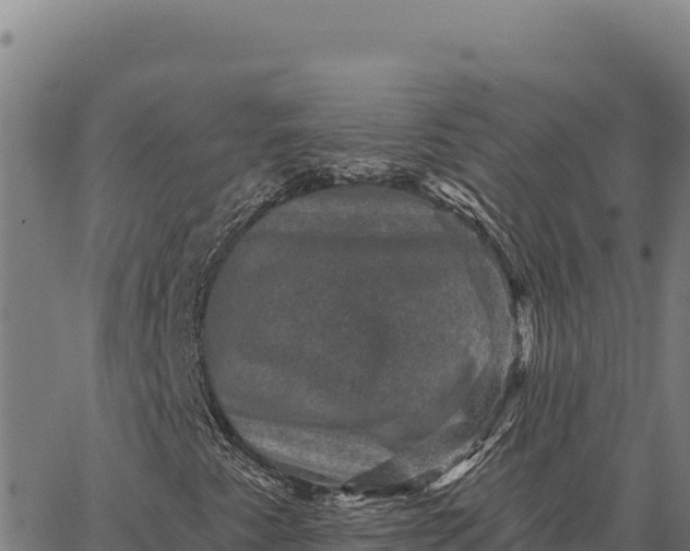 X0000066511345200603311719