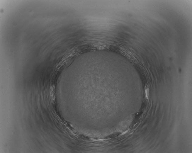 X0000066511347200603311719