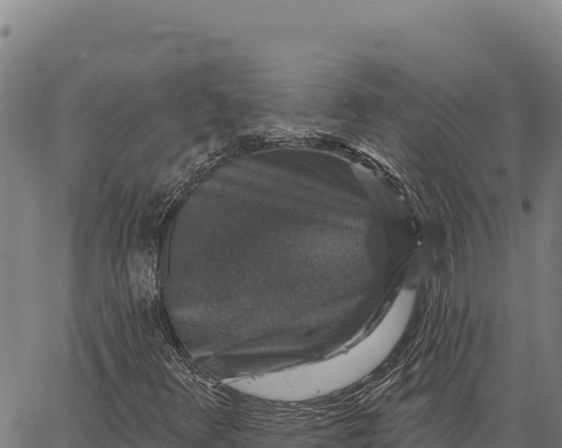 X0000066511348200603311719