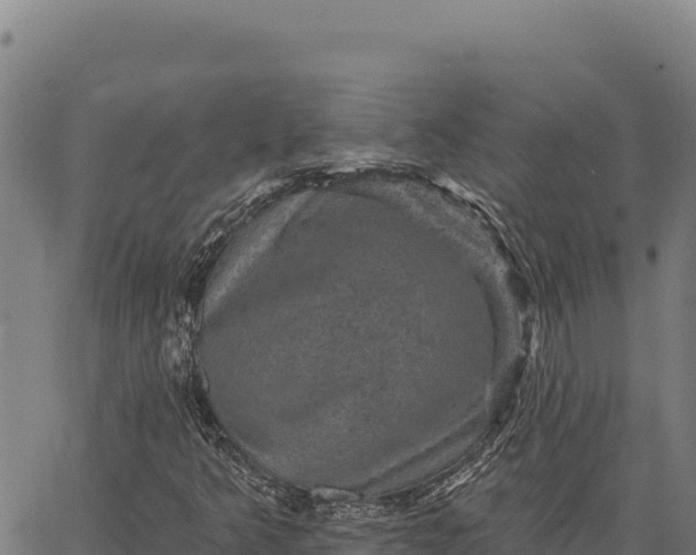 X0000066511349200603311719