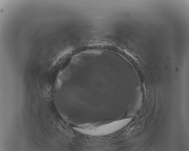 X0000066511351200603311719