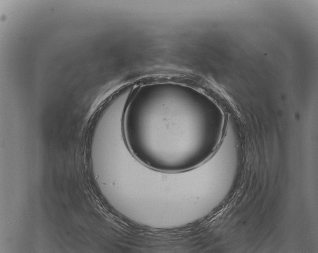 X0000066511352200603311719