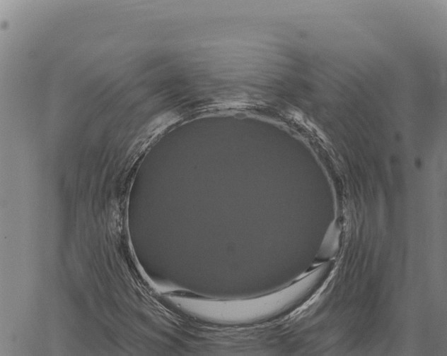 X0000066511353200603311719