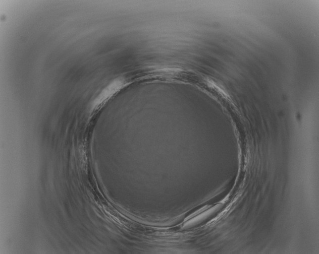 X0000066511354200603311719